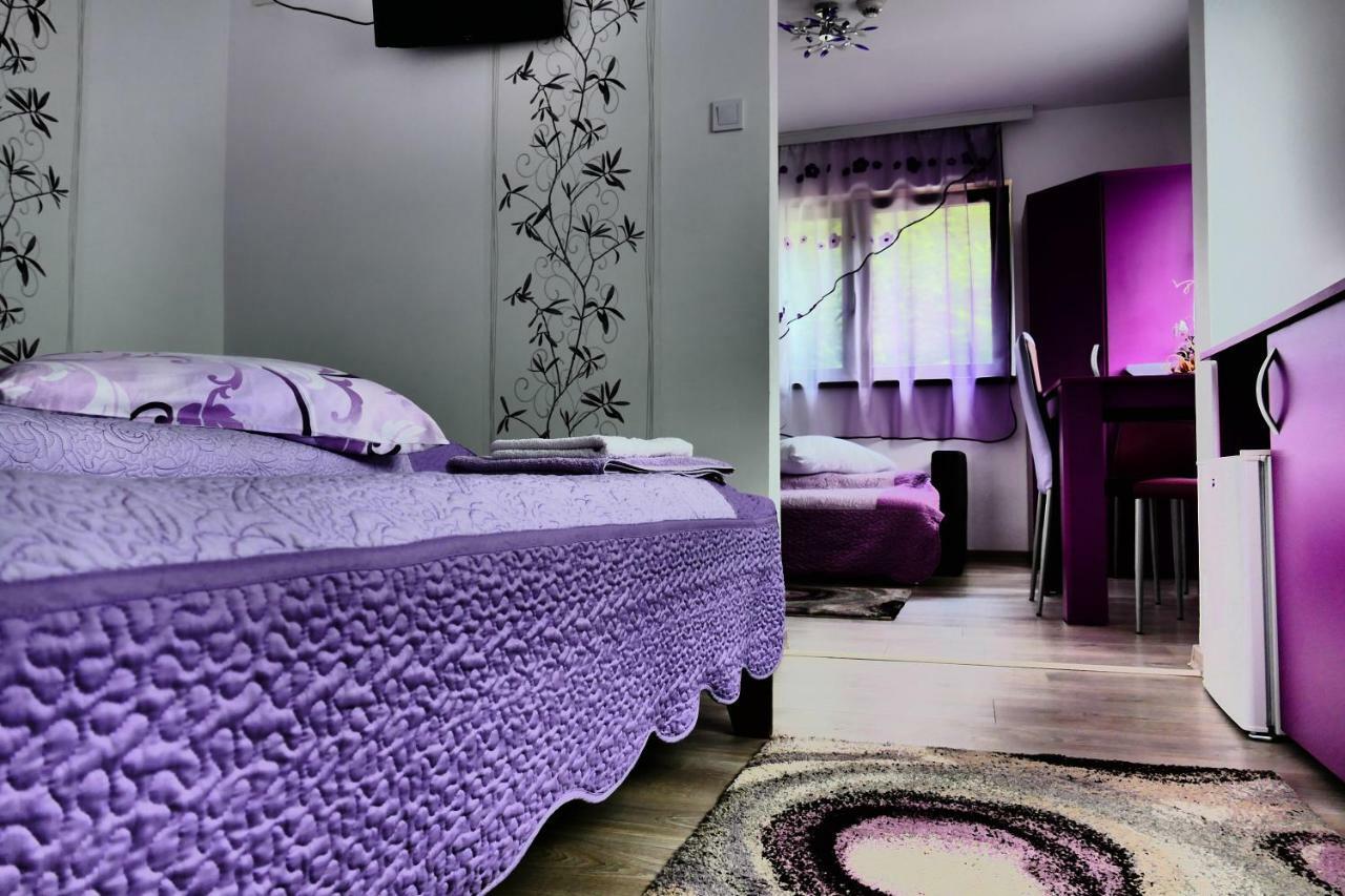 Pensiunea Roua Florilor Hotel Анина Екстериор снимка