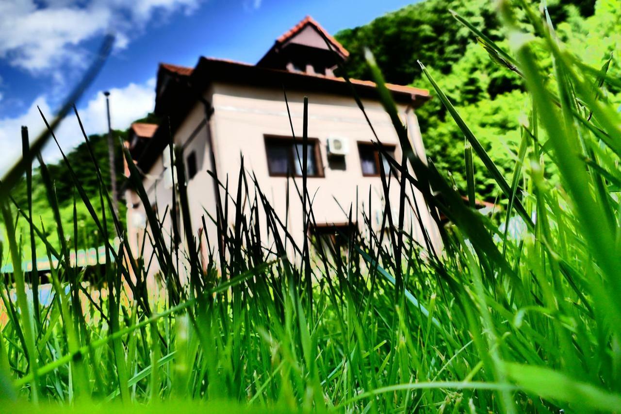 Pensiunea Roua Florilor Hotel Анина Екстериор снимка