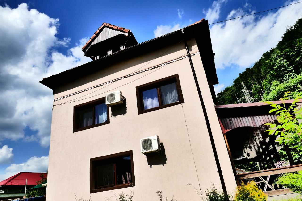 Pensiunea Roua Florilor Hotel Анина Екстериор снимка