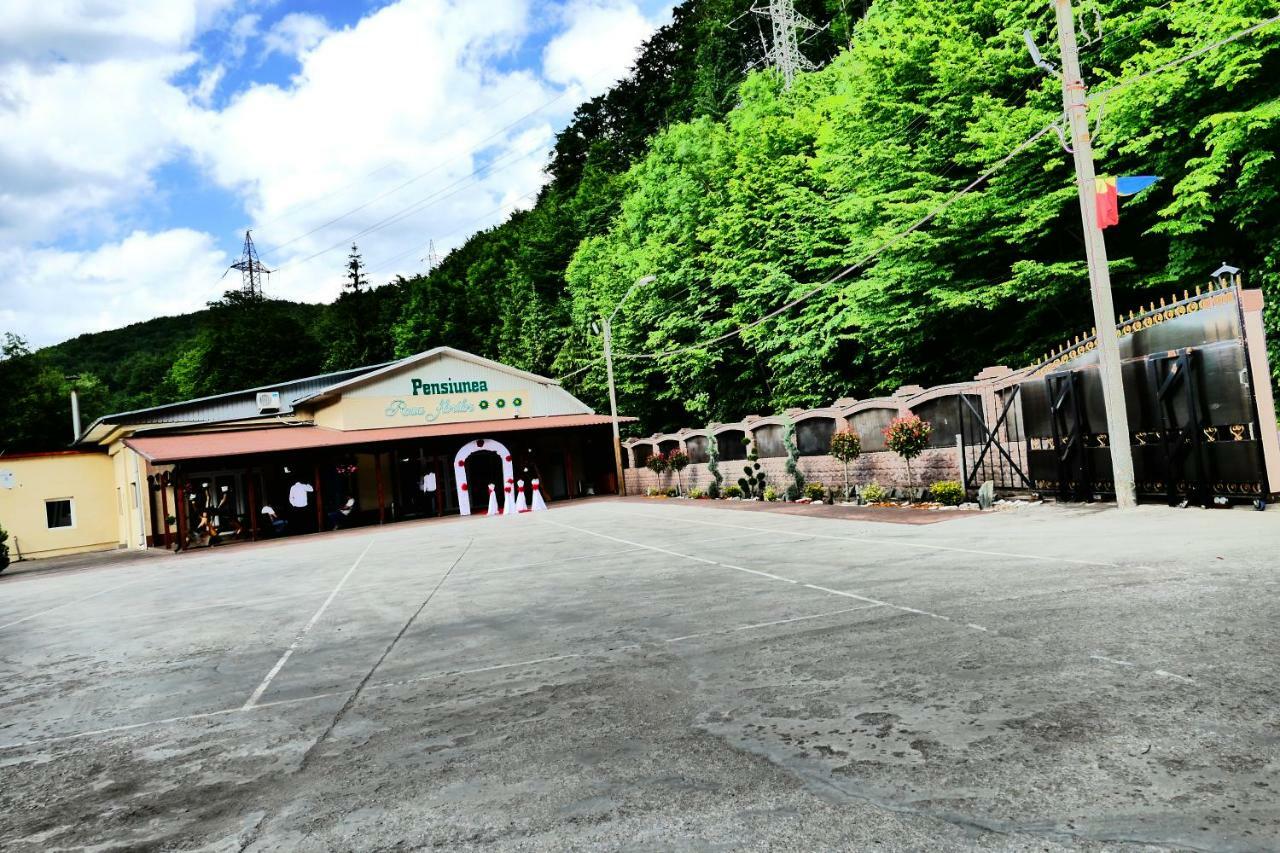 Pensiunea Roua Florilor Hotel Анина Екстериор снимка